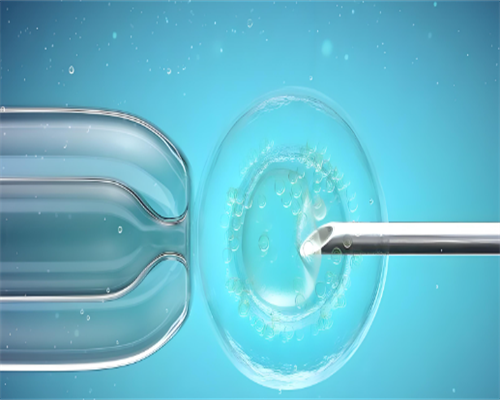 河北知名试管医院最新排名与选择技巧解析