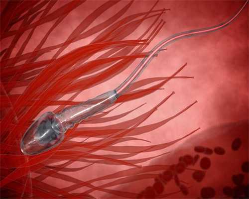 台州人民医院借卵试管婴儿服务及生男孩费用指南