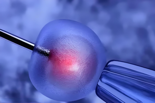 辽宁私立供卵机构排行与2026卵巢早衰借卵生子条件解析