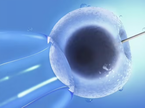 贵州三代试管婴儿机构选择指南与省钱技巧，代生费用解析