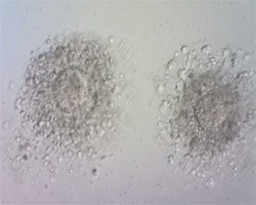 2026济南正规生殖医院指南：试管成功率排名与供卵助孕机构推荐