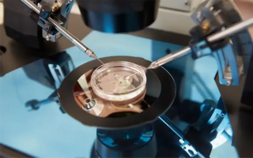 福州借卵试管医院前三排名与生男孩条件解析