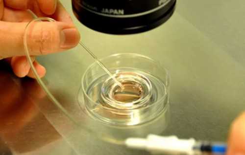 西藏三代试管婴儿费用全解析与最新明细