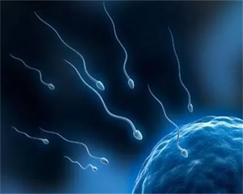 吉林大学第一医院供卵试管流程详解与借卵指南