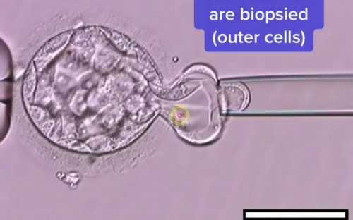 西宁专业三代试管婴儿医院指南：方案与费用全解析