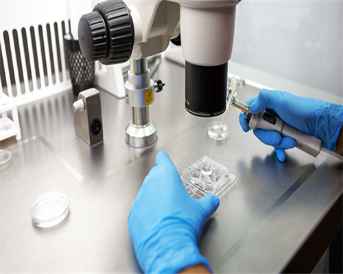 吉林大学第一医院借卵试管供卵费用及预算详解