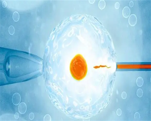 28岁促排基础卵泡少的原因解析与应对策略