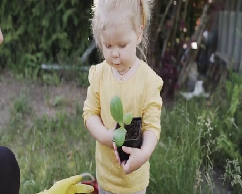 上海优质不孕不育医院盘点：助孕、试管供卵与辅助生殖优选