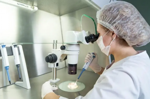 贵州省人民医院第一代试管婴儿冻胚移植成功率及供卵代怀费用解析