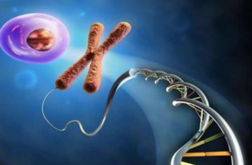 广西民间供卵试管机构哪家好？2026借卵生子机构优选指南与正规代生服务